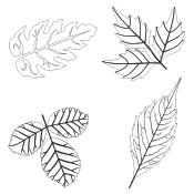 September 2018 Free Graphic