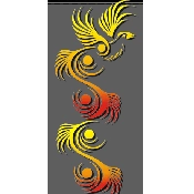 Phoenix Graphic