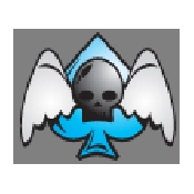 Skull Graphic